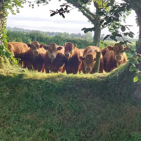 Bellfry At Old Boley 펜션 Barntown