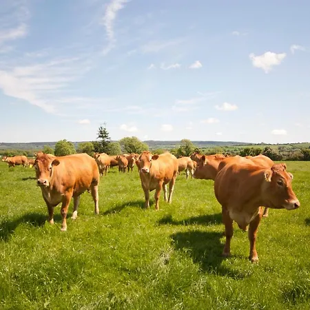Bellfry At Old Boley 펜션