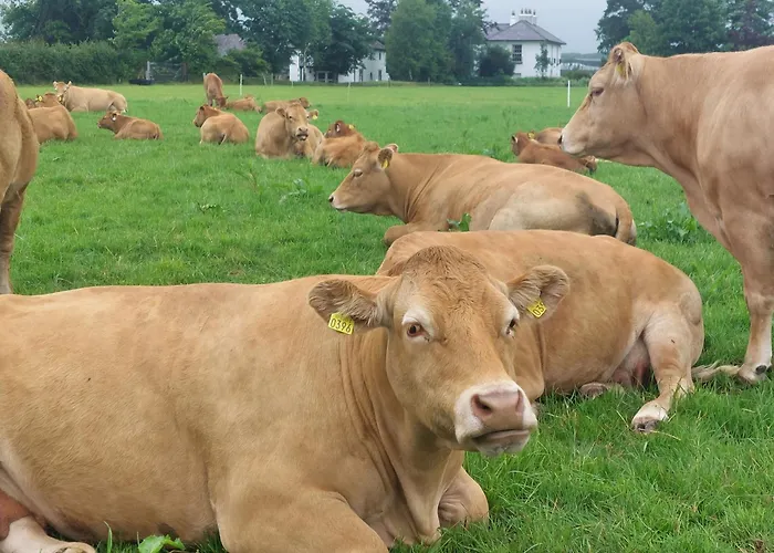Bellfry At Old Boley * Barntown