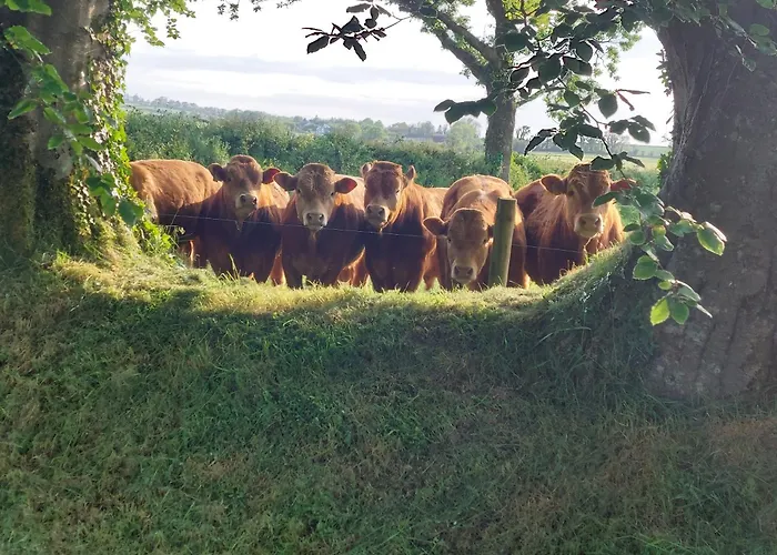 Bellfry At Old Boley Holiday home Barntown