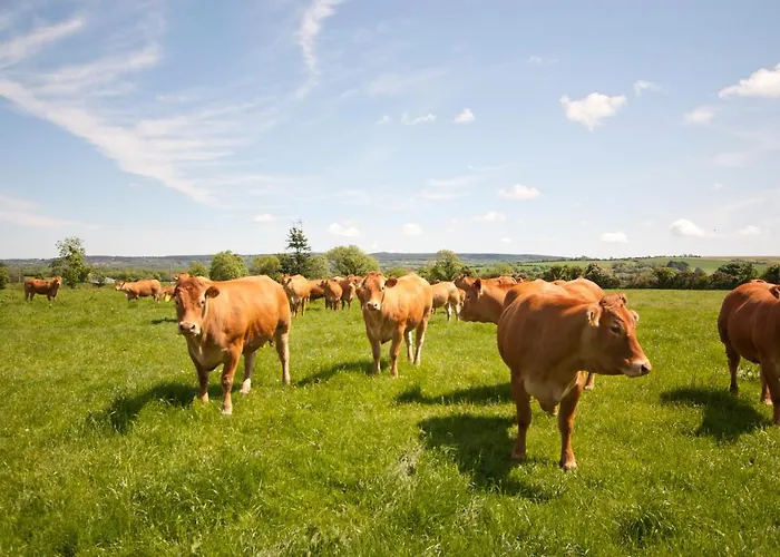 Bellfry At Old Boley Holiday home